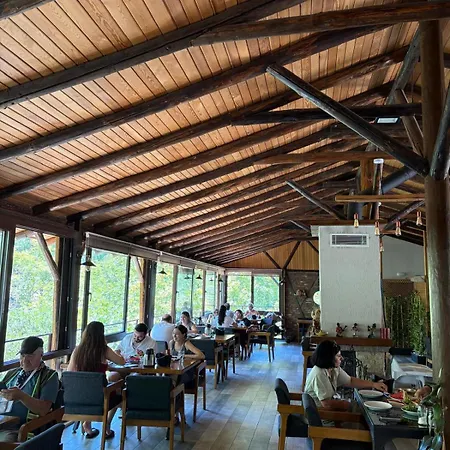 Bed and breakfast Layinka Kaz Mountains *